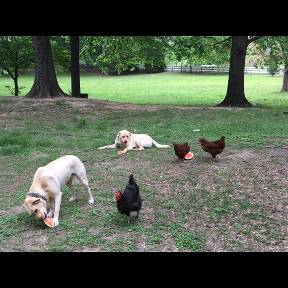 Meet your Posher, Janet - Picture 5 of 16